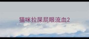 猫咪拉屎屁眼流血