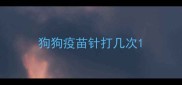 狗狗疫苗针打几次