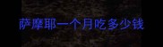萨摩耶一个月吃多少钱
