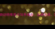 适合中国家庭饲养的宠物动物推荐及饲养指南品种选择饲养成本与健康管理全