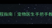 狗狗掏耳朵全流程指南宠物医生手把手教你避免耳道损伤