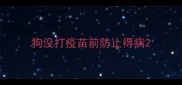 狗没打疫苗前防止得病