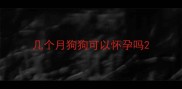 几个月狗狗可以怀孕吗