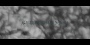 成年陨石边牧体重多少钱