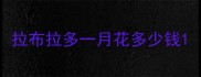 拉布拉多一月花多少钱