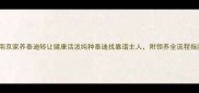 南京家养泰迪转让健康活泼纯种泰迪找靠谱主人附领养全流程指南