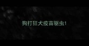 狗打狂犬疫苗驱虫