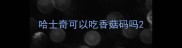 哈士奇可以吃香菇码吗