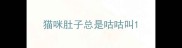 猫咪肚子总是咕咕叫