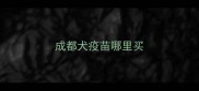 成都犬疫苗哪里买