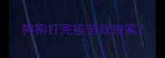 狗狗打完疫苗就搬家