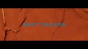 猫咪打了弓形虫疫苗吗
