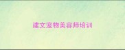 建文宠物美容师培训