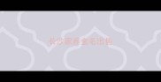 长沙家养金毛出售