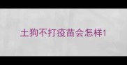 土狗不打疫苗会怎样
