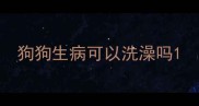 狗狗生病可以洗澡吗