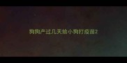 狗狗产过几天给小狗打疫苗