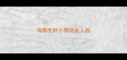 母狗生好小狗对主人凶