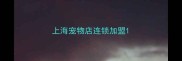 上海宠物店连锁加盟