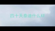 四十天泰迪什么样