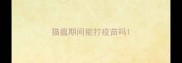 猫瘟期间能打疫苗吗
