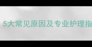 狗狗眼睛发红怎么办5大常见原因及专业护理指南附诊断与治疗