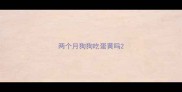 两个月狗狗吃蛋黄吗
