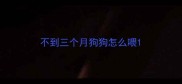不到三个月狗狗怎么喂