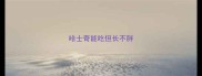 哈士奇能吃但长不胖