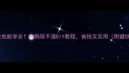 手残党也能学会狗狗尿不湿DIY教程省钱又实用附避坑指南