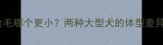 拉布拉多VS金毛哪个更小两种大型犬的体型差异与饲养指南