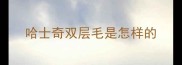 哈士奇双层毛是怎样的