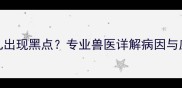 猫咪睾丸出现黑点专业兽医详解病因与应对措施