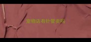 宠物店有针管卖吗