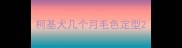 柯基犬几个月毛色定型