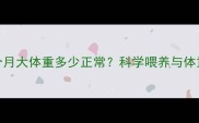 边境牧羊犬5个月大体重多少正常科学喂养与体重管理全攻略