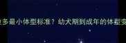 拉布拉多最小体型标准幼犬期到成年的体型变化全
