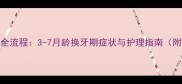贵宾犬换牙全流程3-7月龄换牙期症状与护理指南附专家建议