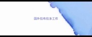 国外拉布拉多工作