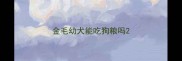 金毛幼犬能吃狗粮吗