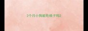 2个月小狗能吃桃子吗
