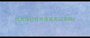 幼犬没打狂犬疫苗可以养吗