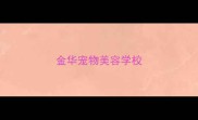 金华宠物美容学校