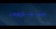 小狗脑袋一抽一抽的