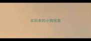 买回来的小狗很臭