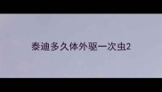 泰迪多久体外驱一次虫