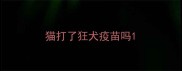 猫打了狂犬疫苗吗