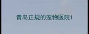 青岛正规的宠物医院