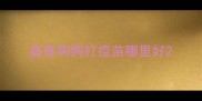 嘉善狗狗打疫苗哪里好