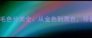 拉布拉多犬的性格特征与毛色分类全从金色到黑色导盲犬与宠物犬的品种差异